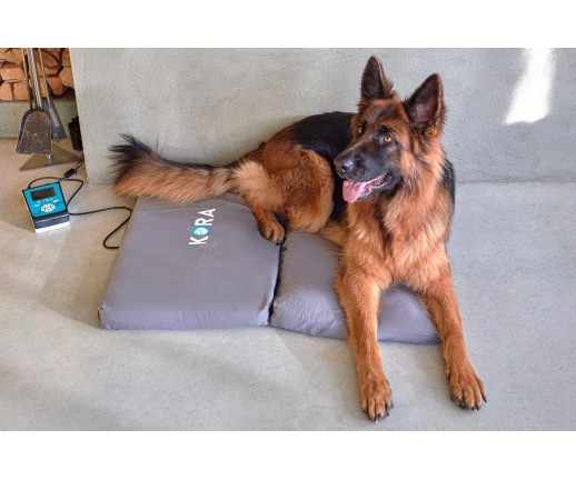 Mata magnetyczna Kora-Mat (64 x 40 cm)