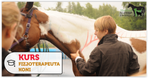 Screen Shot 10-01-14 at 09.51 AM