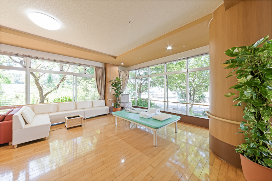 Sprzęt rehabilitacyjny w luksusowym sanatorium dla seniora